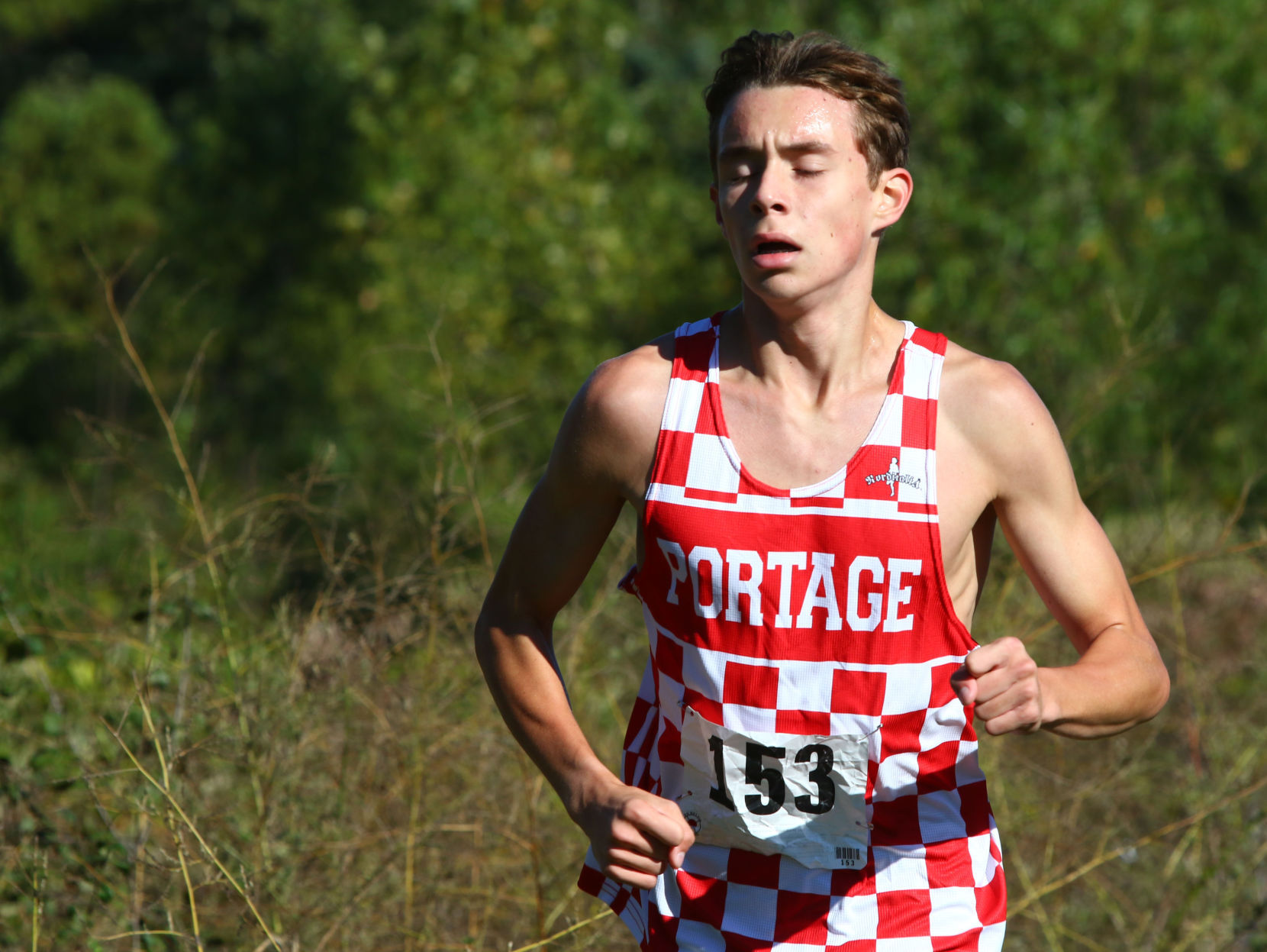 Gallery: Duneland Athletic Conference cross country meet
